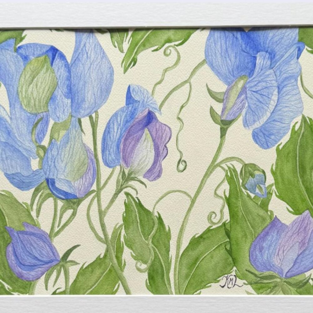 Painting Watercolor Flower Blue Purple Sweet Pea Original Art 11x14 & Mat 16x20